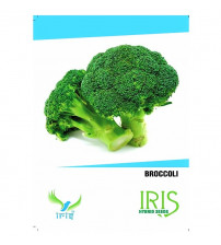 Iris F1 Broccoli 15 Seeds